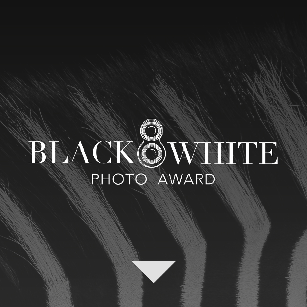 Black and White Photo Awards 2025